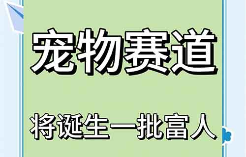 小众宠物赛道爆火，普通人月入3W+的野路子玩法
