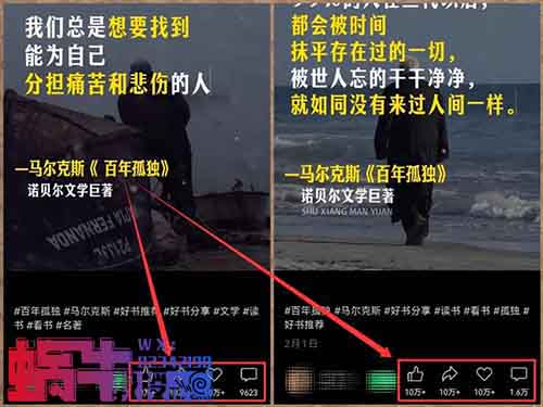 视频号新赛道，简单易上手，月入12000+（附详细教程）