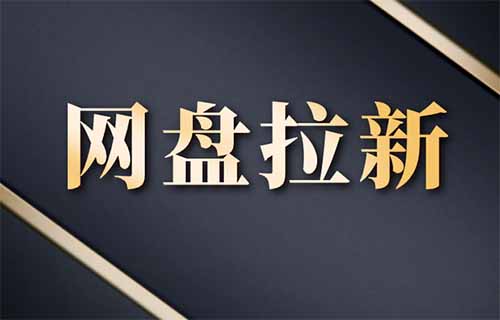 网盘拉新项目，保底日入500，我给个实操方向