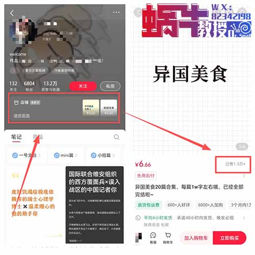 靠搬运外国小说,他在小红书赚了8万多!