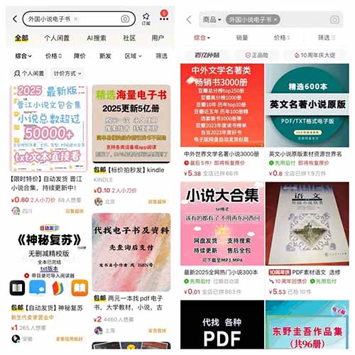 靠搬运外国小说,他在小红书赚了8万多!