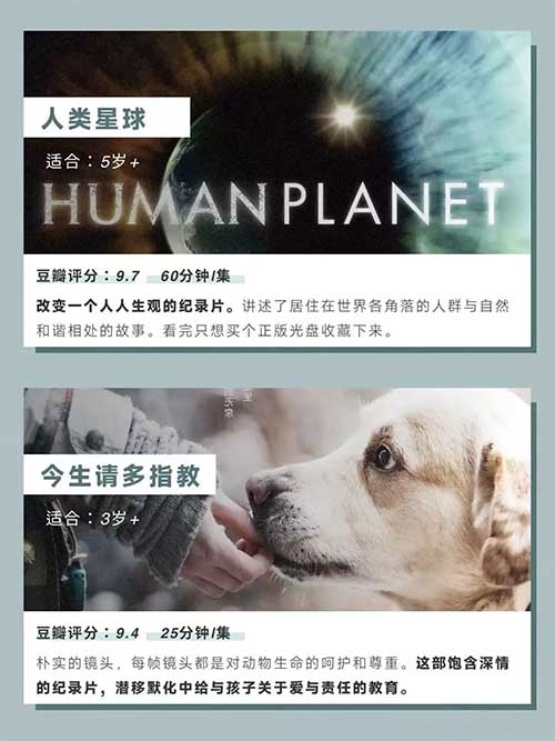 抓住这个“信息差”,小白也能日入300+