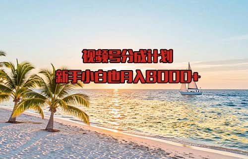 视频号分成计划，新手小白也月入8000+